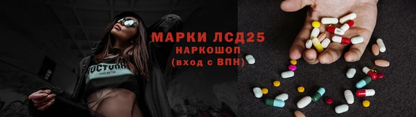 гашик Богданович