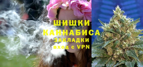 гашик Богданович